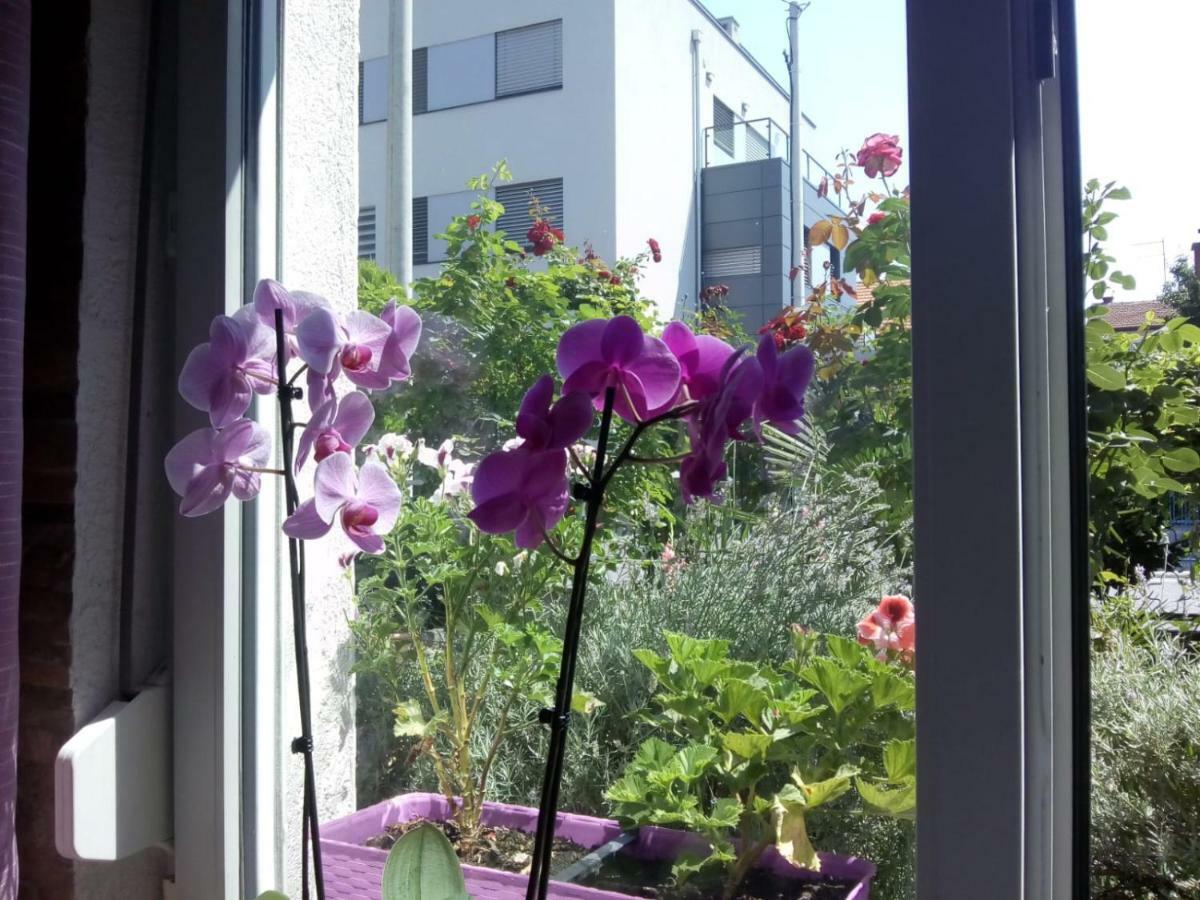Apartman Teuta Zagreb Eksteriør billede