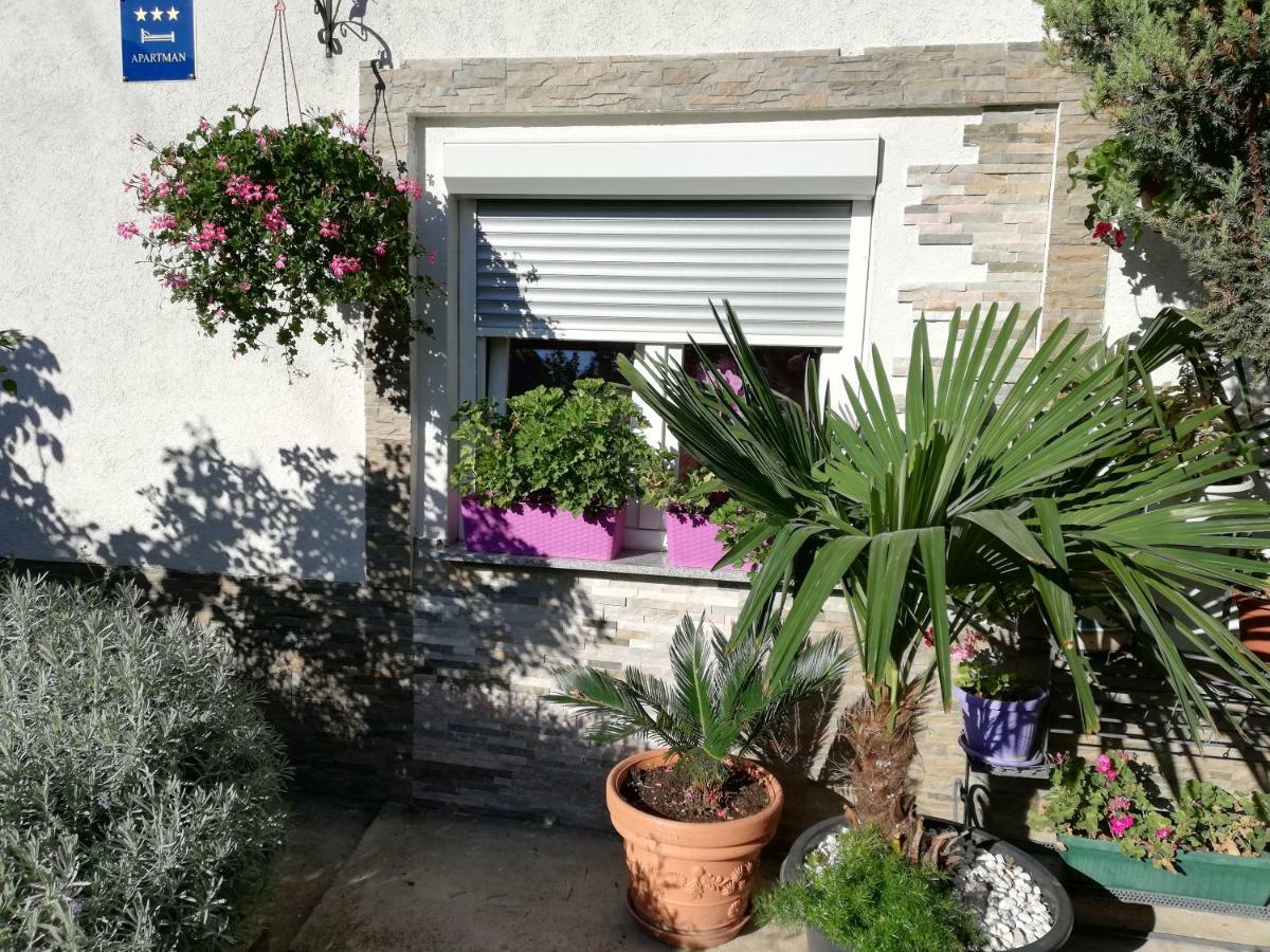 Apartman Teuta Zagreb Eksteriør billede